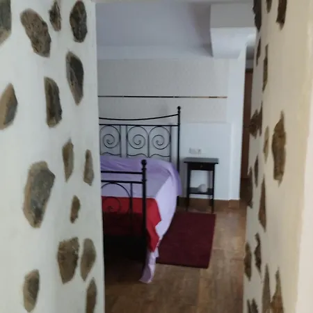 Palmeras * Гуимар