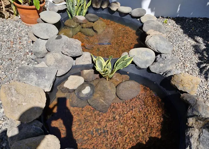 Palmeras * Гуимар