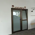 Palmeras