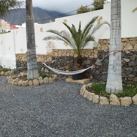 Palmeras * Güimar
