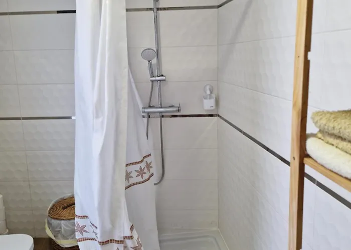 Palmeras * グイマー